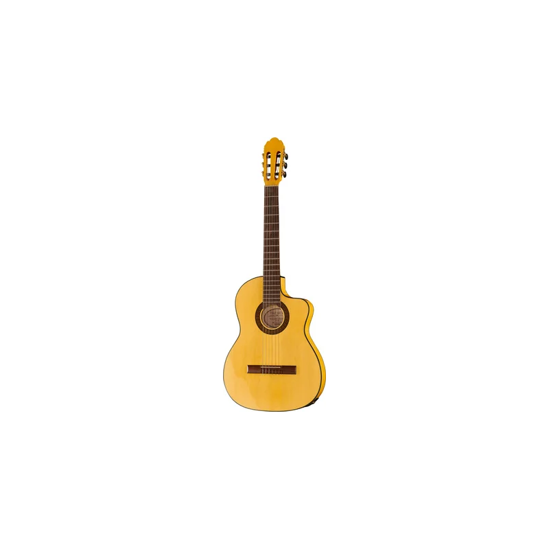 Remise PRO ARTE FLAMENCA CUTAWAY