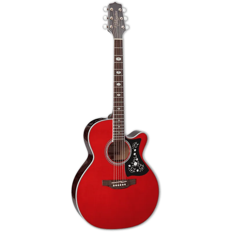 Dernière Chance TAKAMINE GN75CE-WR