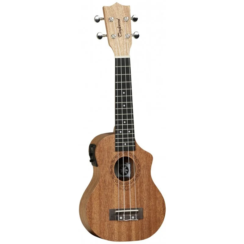 Jusqu'à Épuisement Des Stocks TANGLEWOOD TWT 1 CE