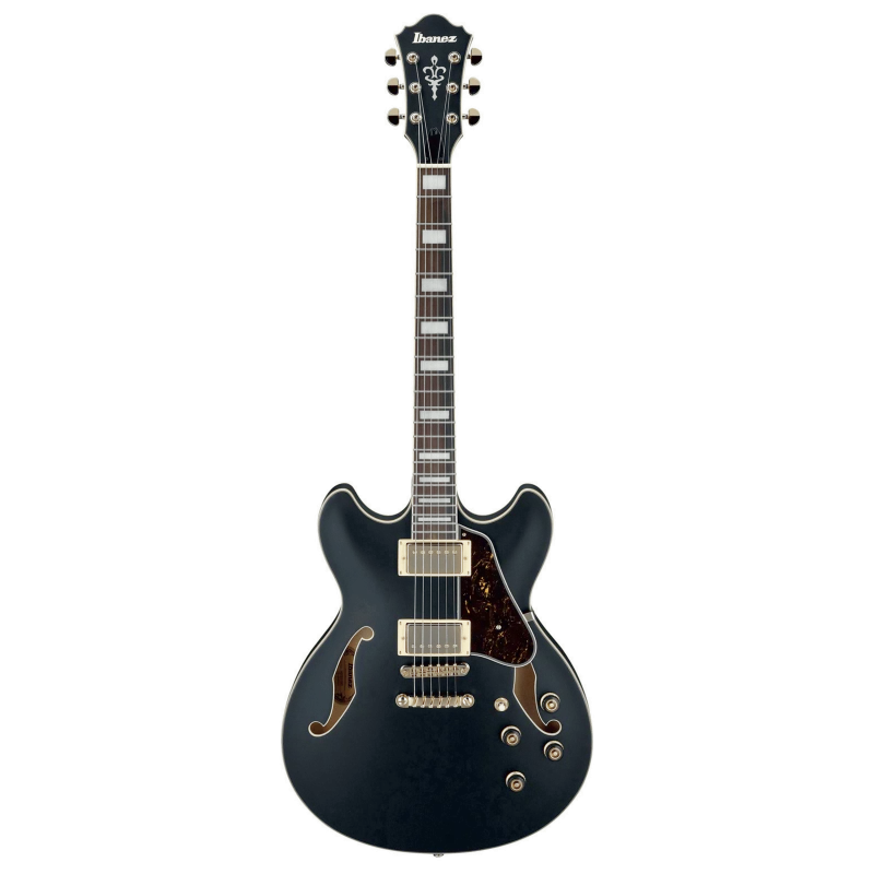 IBANEZ AS73G BKF Super Prix