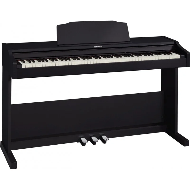 Pas Cher ROLAND RP102-BK