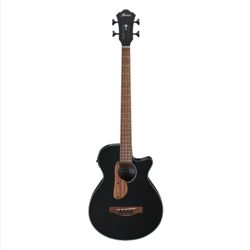 IBANEZ AEGB24E-BKH Acheter Direct