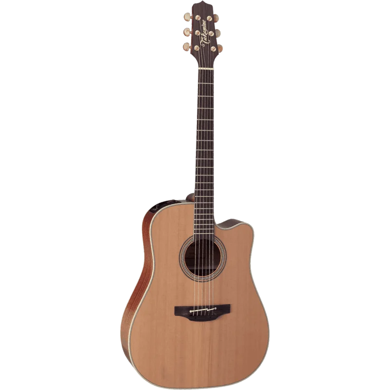 Livraison Express TAKAMINE EN10C