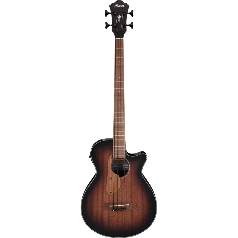 IBANEZ AEGB24E-MHS Populaire