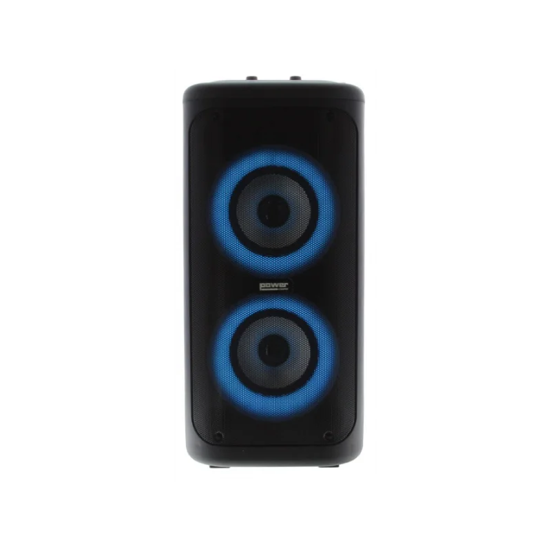 Meilleur Choix POWER ACOUSTICS GOFUN 200V