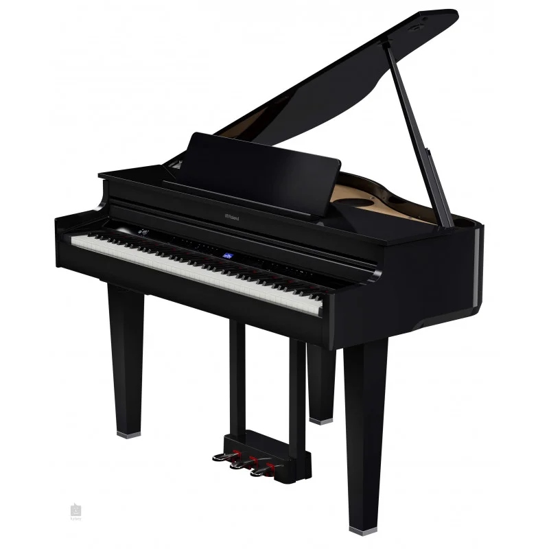 Dernière Chance ROLAND GP-6 PE