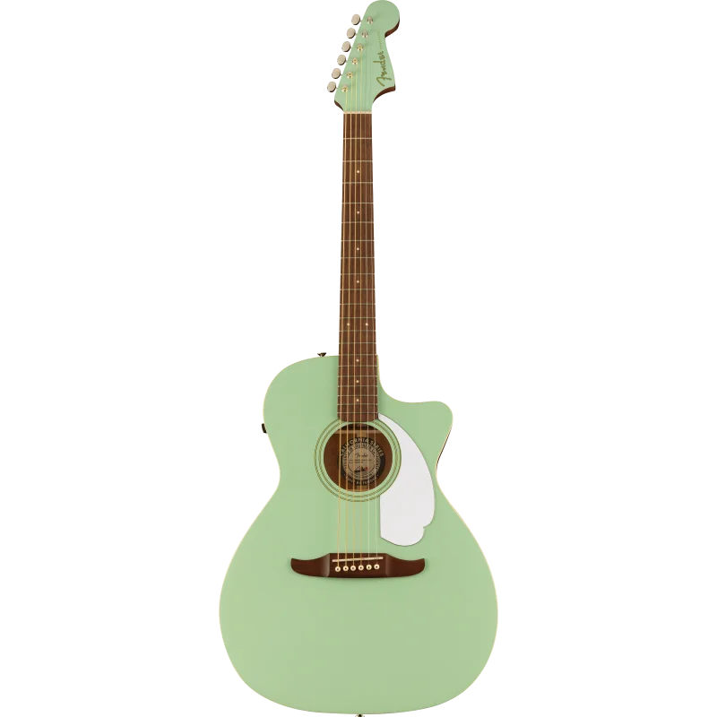 FENDER NEWPORTER PLAYER SFG WN Commander Maintenant
