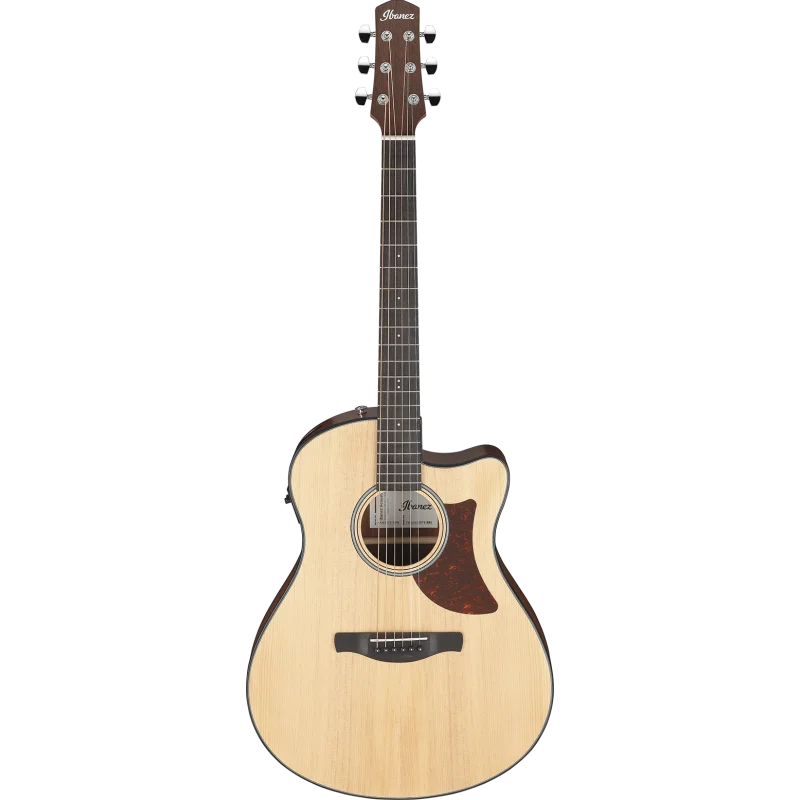 IBANEZ AAM50CE-OPN Populaire