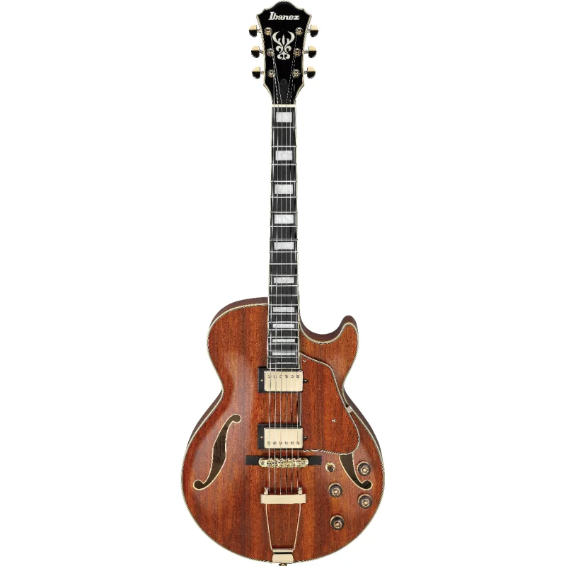 Livraison Express IBANEZ AG95K-NT