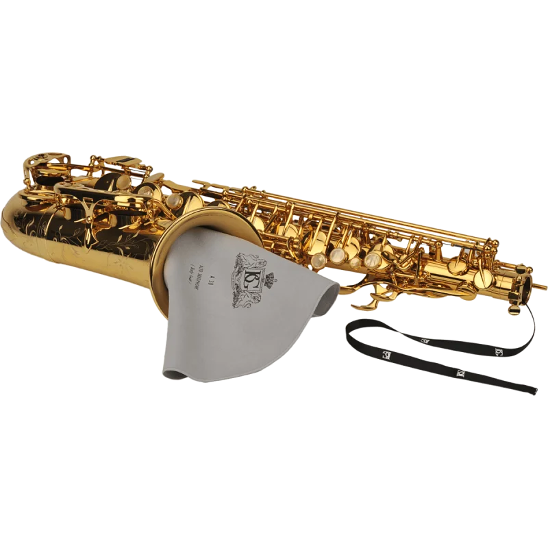 BG ECOUVILLON SAXO ALTO A30 Bon Plan