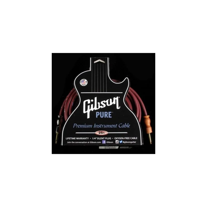 GIBSON CAB25-CH Offre Limitée