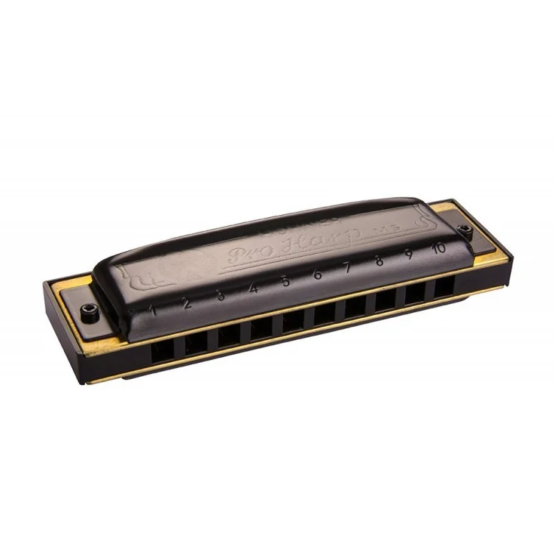 Expédition Rapide HOHNER PRO HARP BB