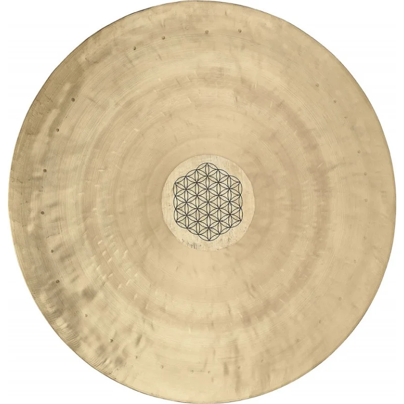 Prix Réduit MEINL SONIC ENERGY WGFOL16