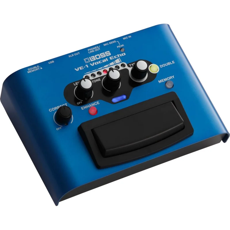BOSS VE1 VOCAL ECHO Commander Maintenant