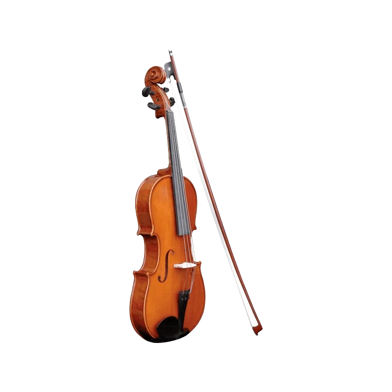 VIOLON HERALD QHE AS244 TOUT MASSIF EN ETUI Haute Qualité