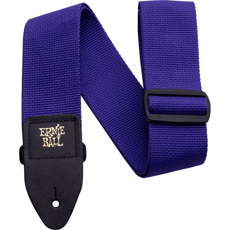 Petit Prix ERNIE BALL POLYPRO VIOLET