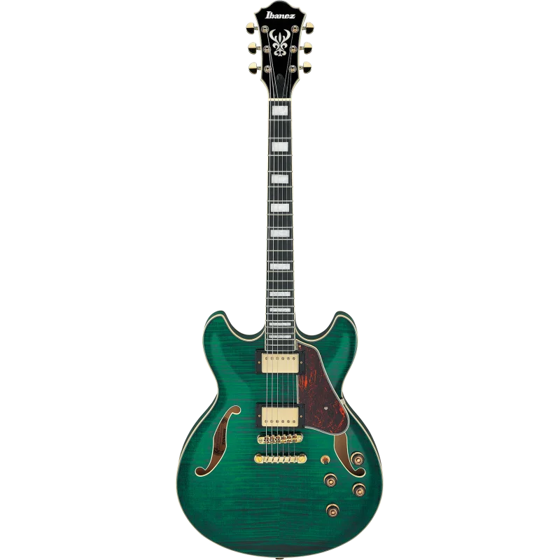 Expédition Rapide IBANEZ AS93FMTMG