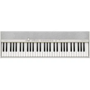 Paiement Sécurisé Casio CT-S1WE - blanc