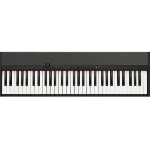 Meilleur Prix Casio CT-S1BK - noir