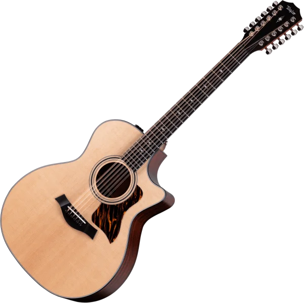 Prix Bas Taylor 354ce 12-String - medium stain