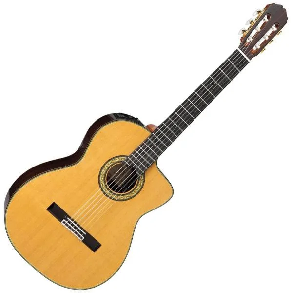Takamine HE5C Hirade Japan - natural Bon Plan