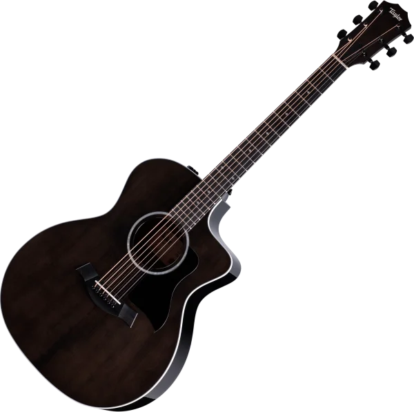 Taylor 214ce Plus Special Edition - grey Pas Cher