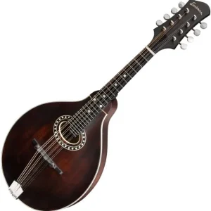 Eastman A-style Oval-hole MD304 - classic Vente Directe