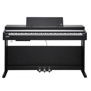 Nouveauté Kurzweil CUP-M1 BK