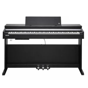 Dernier Modèle Kurzweil CUP-M1 SR