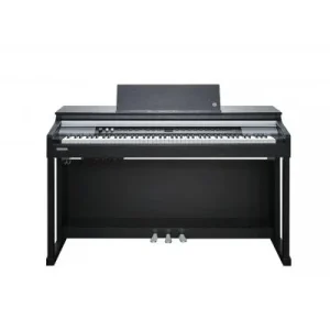 Petit Prix Kurzweil CUP-P1 SR