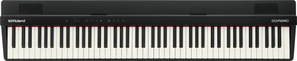 Nouvelle Collection Roland GO-88PX
