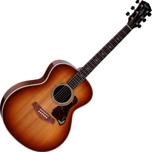 Taylor Gold Label 814e - sunburst Réduction
