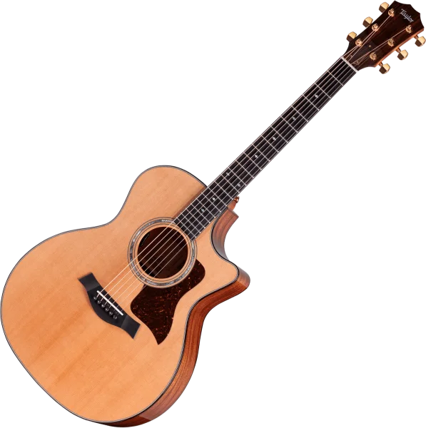 Offre Du Jour Taylor Legacy 514ce - naturel