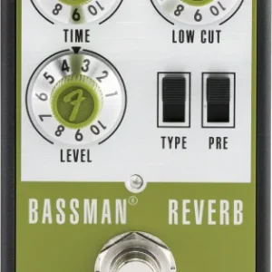 Paiement Sécurisé Fender Bassman Reverb