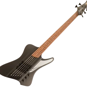 Meilleure Vente Dingwall D-ROC Standard 3-pickups 5-String (PF) - black matte