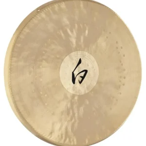 Meinl Gong Sonic Energy White Vente Flash