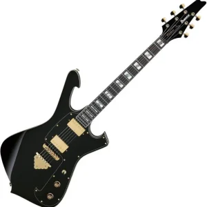 Petit Prix Ibanez Paul Gilbert FRM350 BK - black