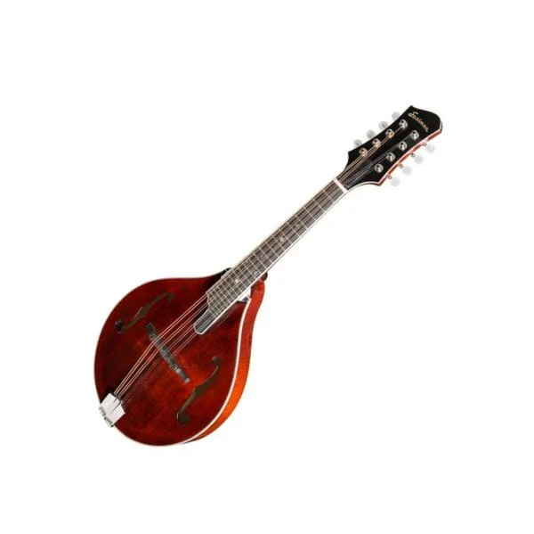 Nouveauté Eastman MD805 A-Style - antique classic