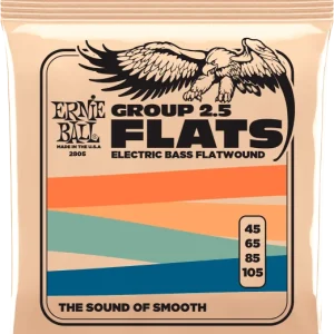 Usine Directe Ernie ball SLINKY FLATS BASS LONG SCALE 45-105 - jeu de 4 cordes