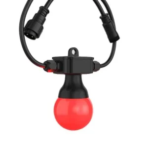 Nouvelle Collection Chauvet dj Festoon 2 RGB EXT