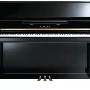 Must-Have Yamaha B3 PE