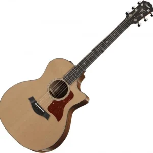 Promotion Saisonnière Taylor 514ce- V-Class Bracing - natural