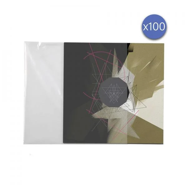 Enova hifi Pochette disque 33 T - Pev 100 Affaire À Saisir