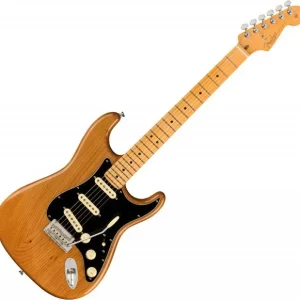 Fender American Professional II Stratocaster (USA, MN) - roasted pine Solde