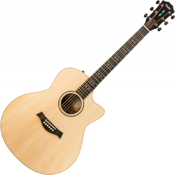 Bon Plan Taylor Custom GO-ce 1203040117 - natural