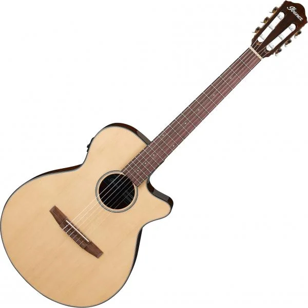 Paiement Sécurisé Ibanez AEG50N NT - natural