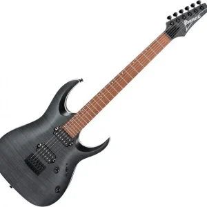 Prix Cassé Ibanez RGA42FM TGF Standard - transparent grey flat