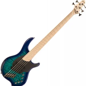 Dingwall Combustion 5 3-Pickups (MN) - whalepool burst Offre Spéciale