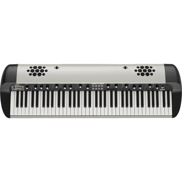 Petit Prix Korg SV-2S 73 (amplified)