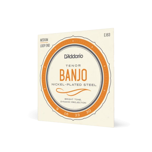D‘addario EJ63 Cordes pour Banjo Light Tenor 09-30 - jeu de 6 cordes Nouvelle Collection
